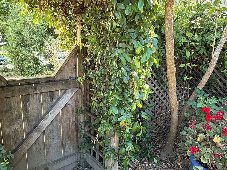 580 Teresa Ct — Photo 7