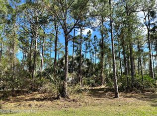 602 Flynn St SE, Palm Bay, FL 32909