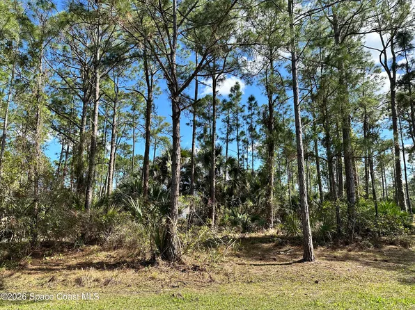 602 Flynn St SE, Palm Bay, FL 32909