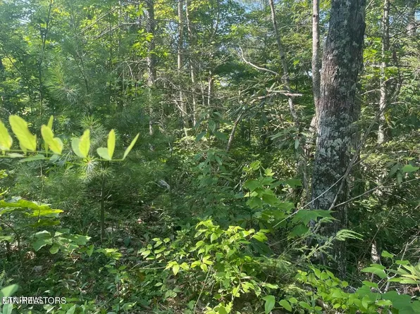 1 Sycamore Dr Lot 1, Sevierville, TN 37876