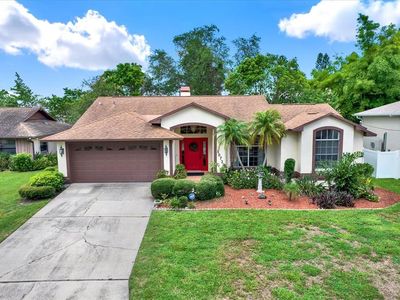 10732 Drummond Rd, Tampa, FL, 33615
