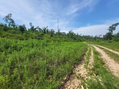 0 Tract # 60 Cedar Gap Hh, Seymour, MO, 65746