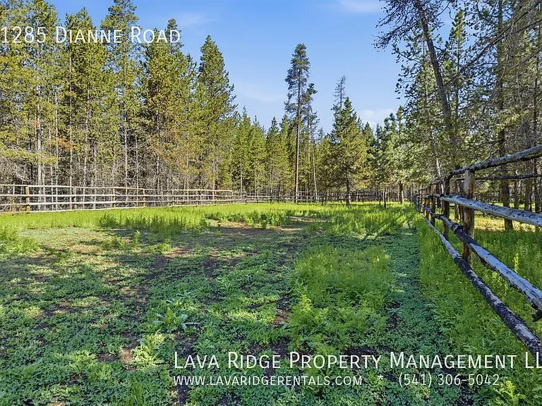 51285 Dianne Rd — Photo 40