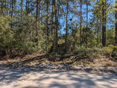 LOT 35 DINES Avenue, Interlachen, FL, 32148