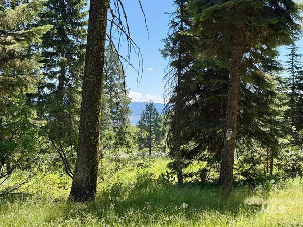 1610 Bear Trail Loop, Cascade, ID 83611
