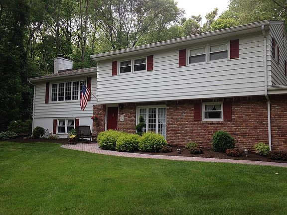 Sugar Maple Split (2)