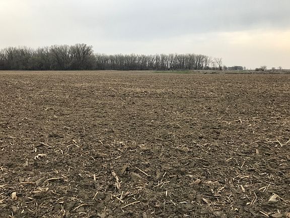 View of the tillable land looking N/NW