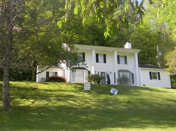 204 Mill Branch Rd, Paintsville, KY 41240