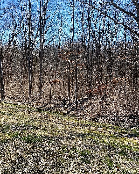3.32 acre wooded lot