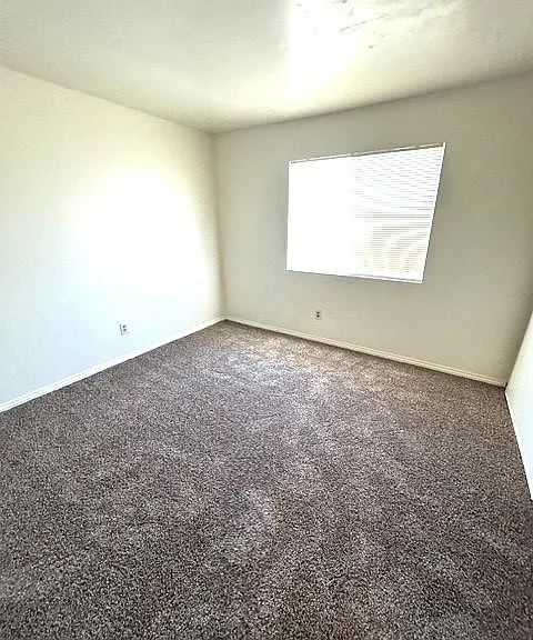 165 Tiger Ln — Photo 12
