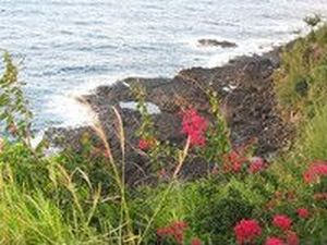 4919 Pepelani Loop APT 15A, Princeville, HI, 96722