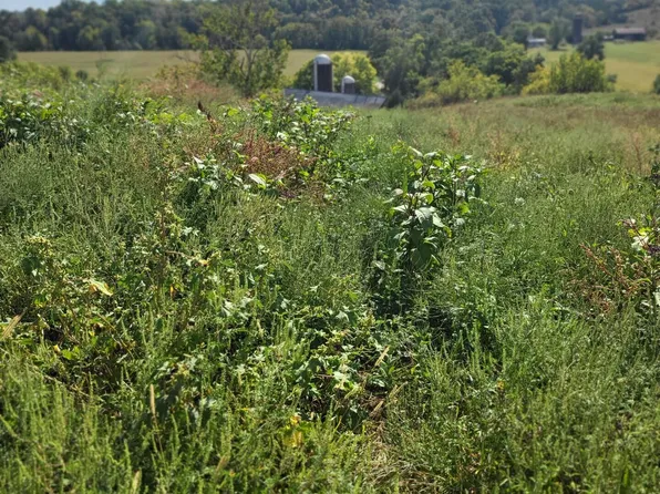 1009 Grapevine Rd, Harrodsburg, KY 40330