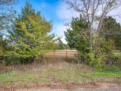 Vz County Road 4503, Ben Wheeler, TX, 75754