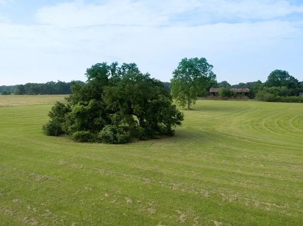 90104 Basil Ln, Saint Francisville, LA 70775