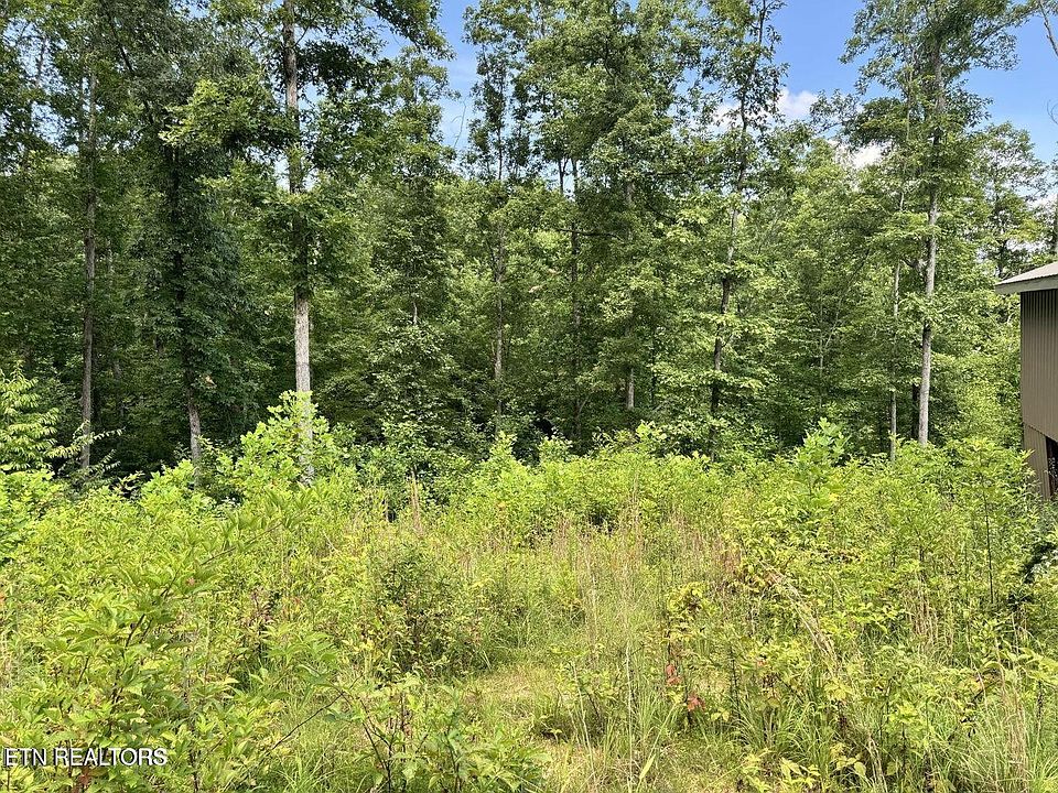 10th image of this home