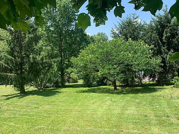 Large fenced in backyard