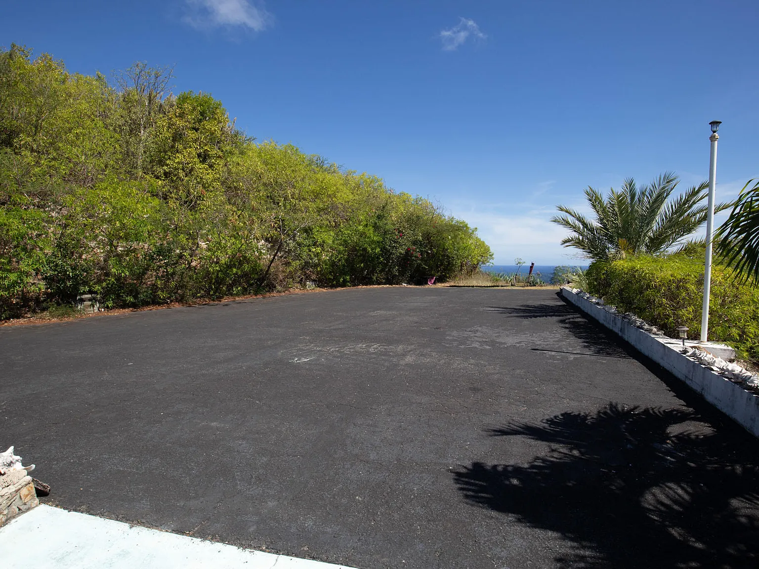 1 bed, $1,500 — Photo 4