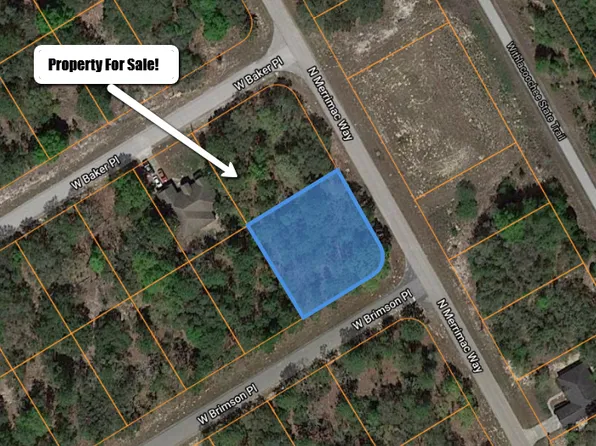 151 W Brimson Pl, Citrus Springs, FL 34434