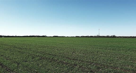 3rd image of 4225 County Road 613