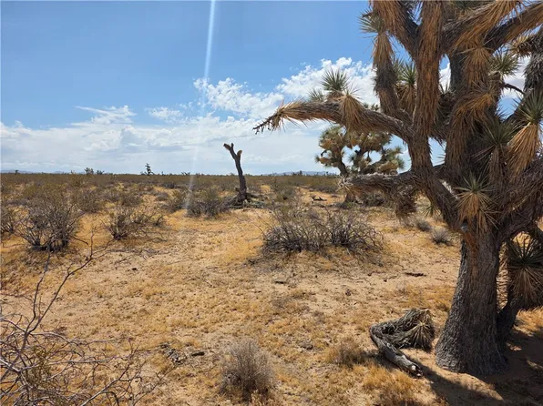 122-29 S Tom Mix Rd #9, Yucca, AZ 86438