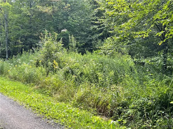 0 Lazy Paradise Rd #18, Redfield, NY 13437