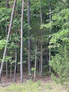 Sawmill Rd, Batesville, AR, 72501