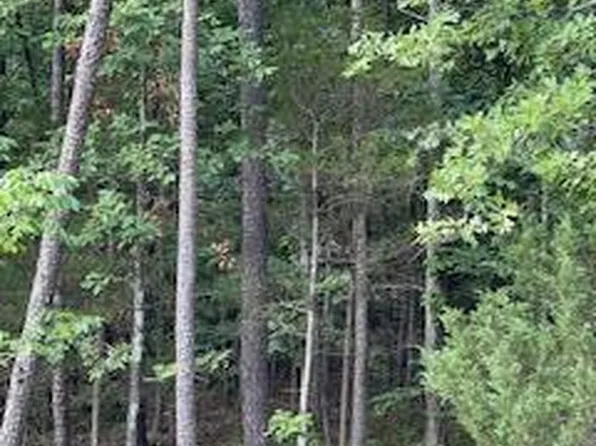 Sawmill Rd, Batesville, AR 72501