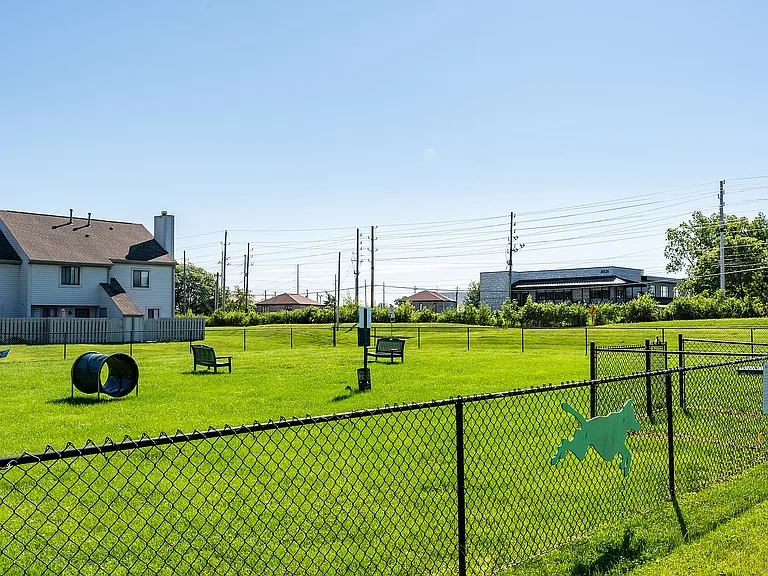 Dog Park