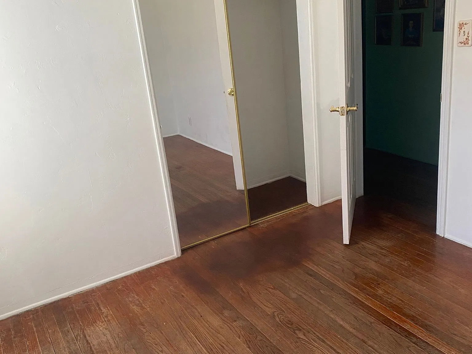 1 bed, $850 — Photo 1