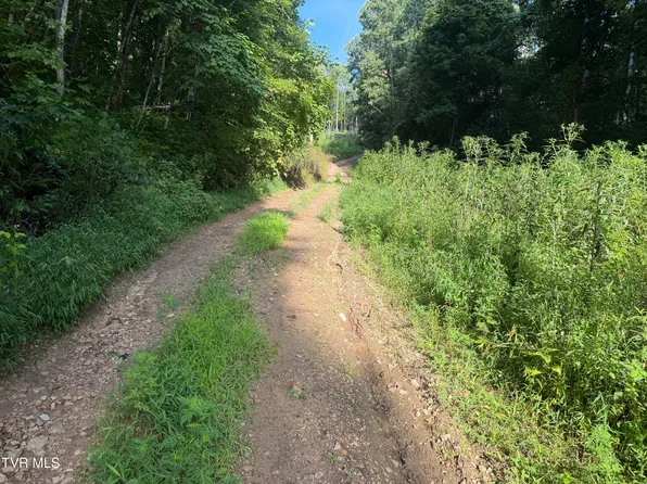 0 Of Williams Ln, Butler, TN 37640