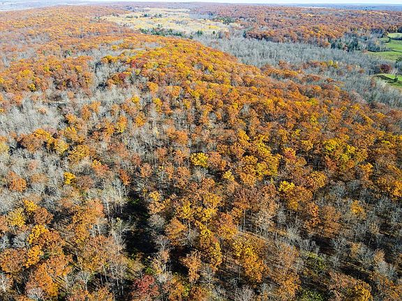 3rd image of Lot 5 Breakneck Road