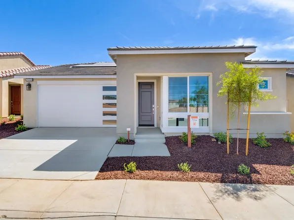 Plan 3 Plan, Vita at Altis