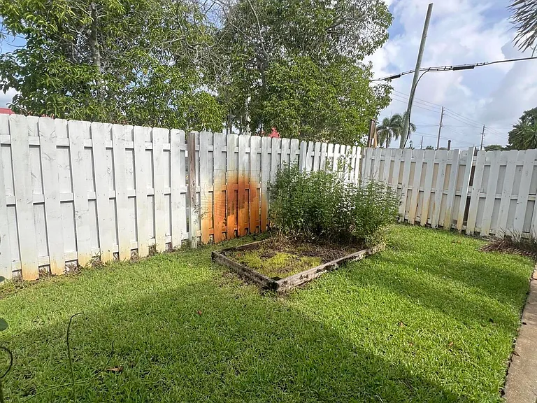 733 Green St — Photo 11