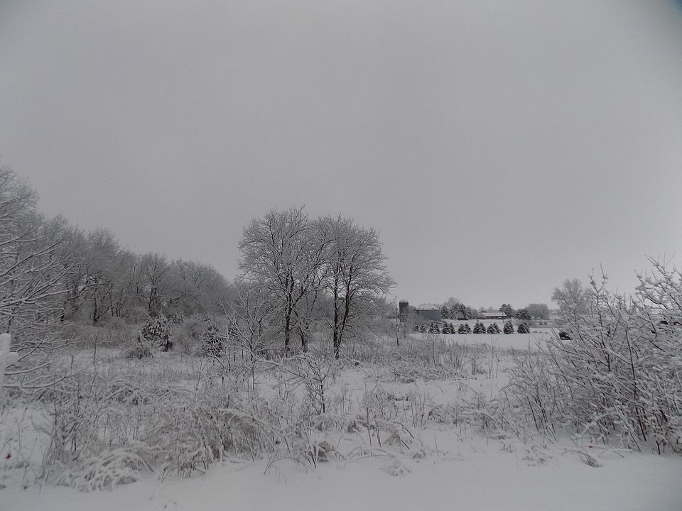 1st image of 18313 Saddle Ln Lot 12