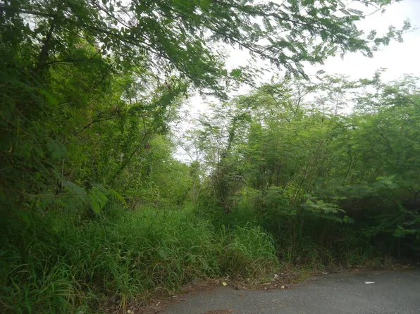 175 Bugby Hole CO, St. Croix, VI 00820