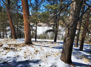 1076 Spring Valley Ln, Florissant, CO 80816