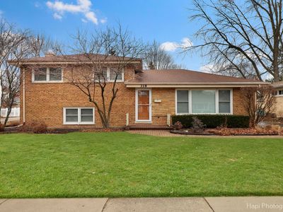 318 Dawes St, Libertyville, IL, 60048