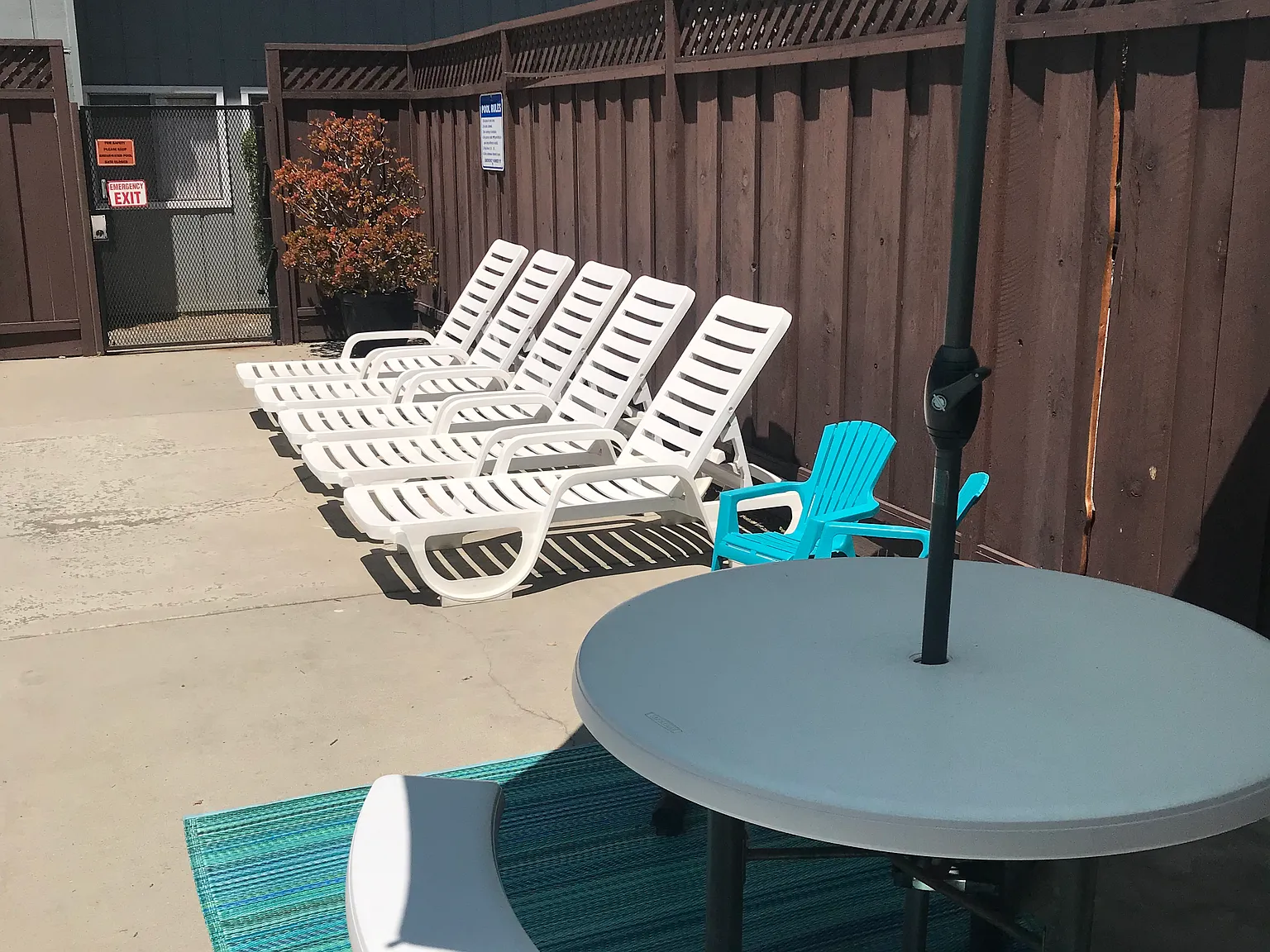 Shearwater Apartments — Photo 4