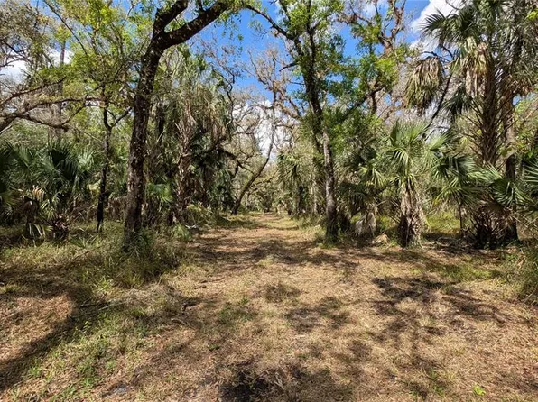 GILLETTE ROAD, ZOLFO SPRINGS, FL 33890