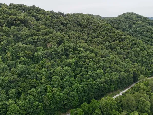 0 Yellow Creek Rd, Louisa, KY 41230
