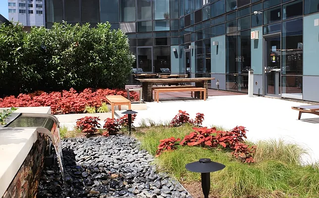 Rented by The Dermot Realty Management Company | media 55