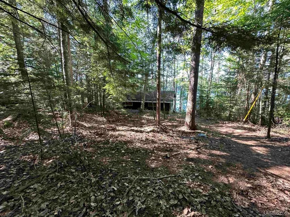 1204 Little Shag Lake Rd, Gwinn, MI 49841