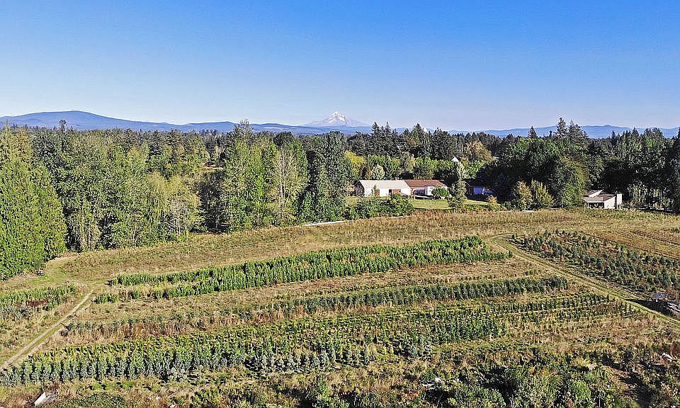 Property Views of Mt. Hood