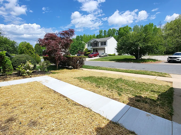 408 Laburnum Rd — Photo 27