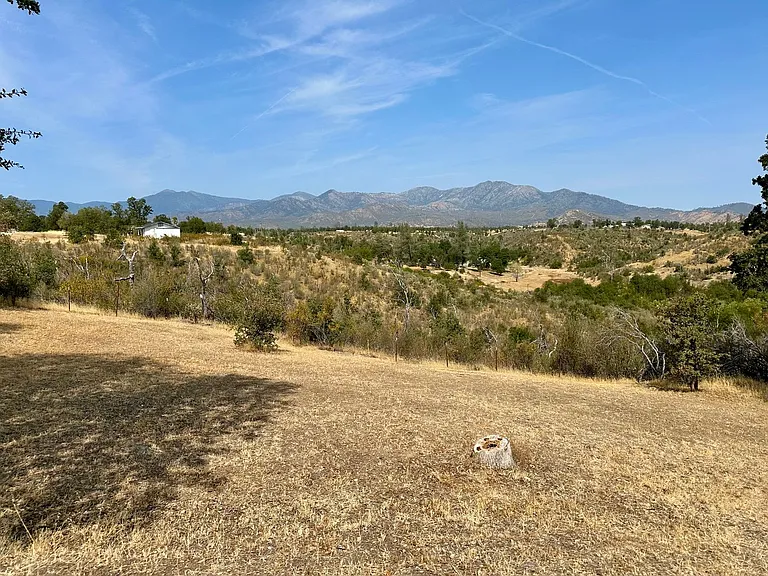 14124 Marsha Way — Photo 38
