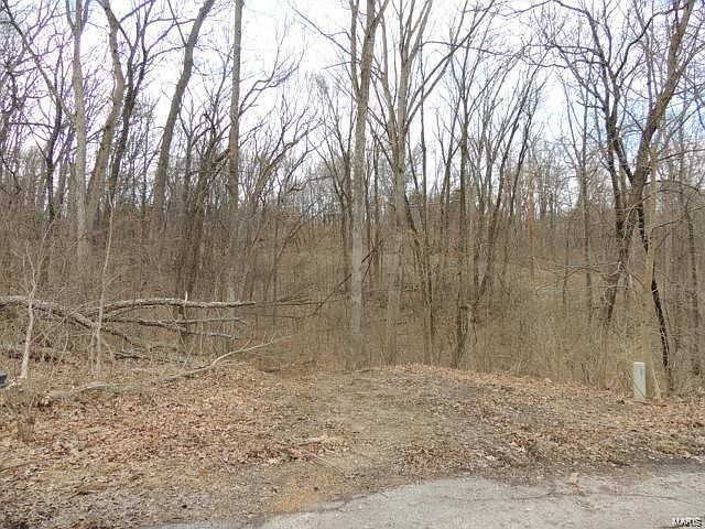 2nd image of 1001 Chesterfield Forest Dr