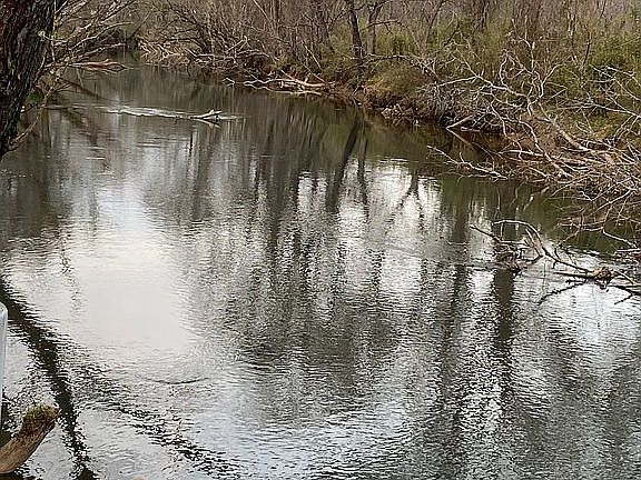 2nd image of 555 Little Ranger Rd