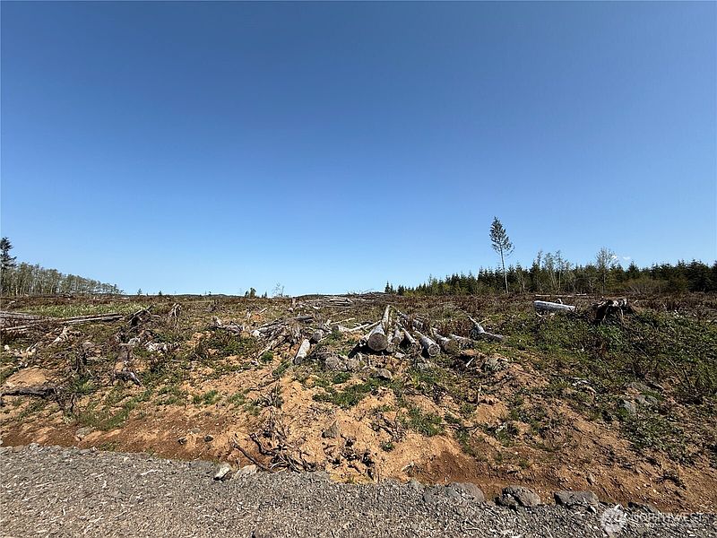 2nd image of 7 xx Centralia Alpha Road