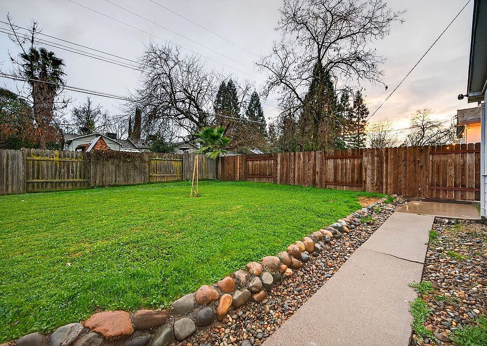 Back yard