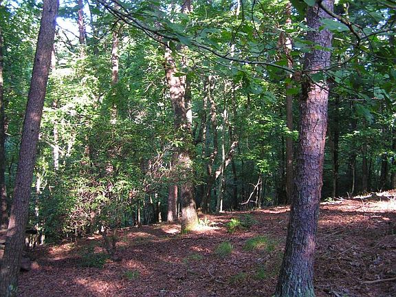 2nd image of 53 Mountain Trace Ln #530